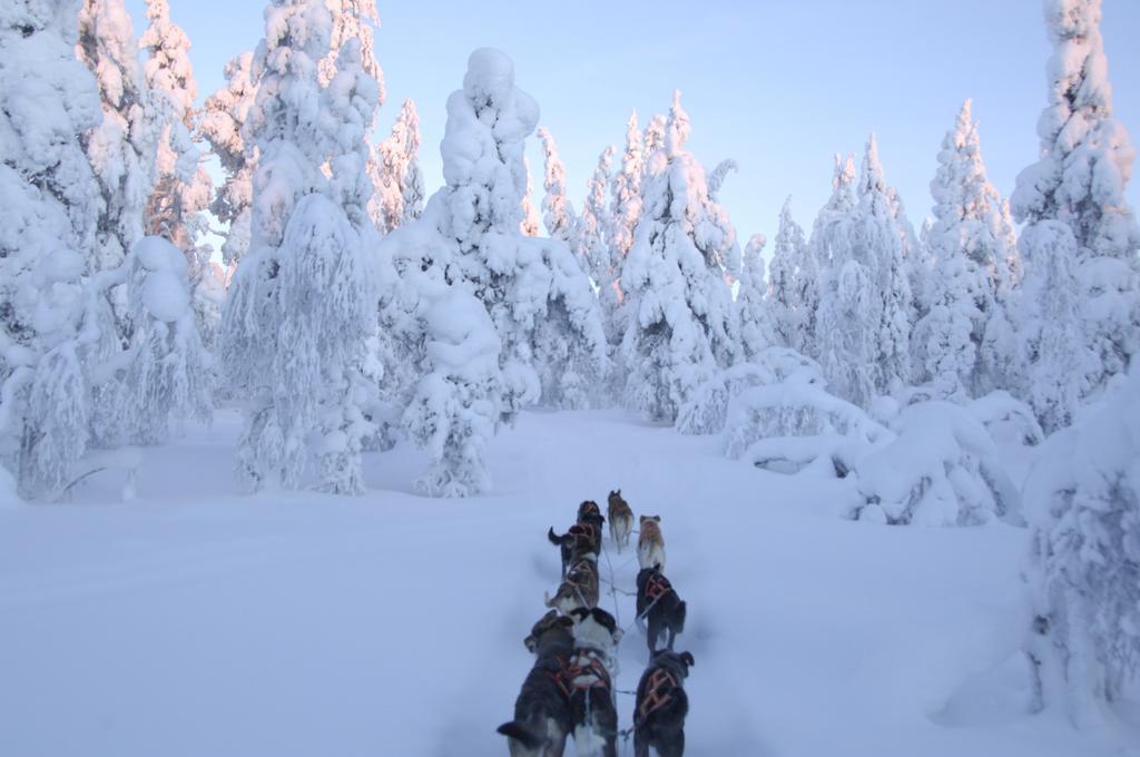 Guesthouse Husky Ivalo Eksteriør bilde